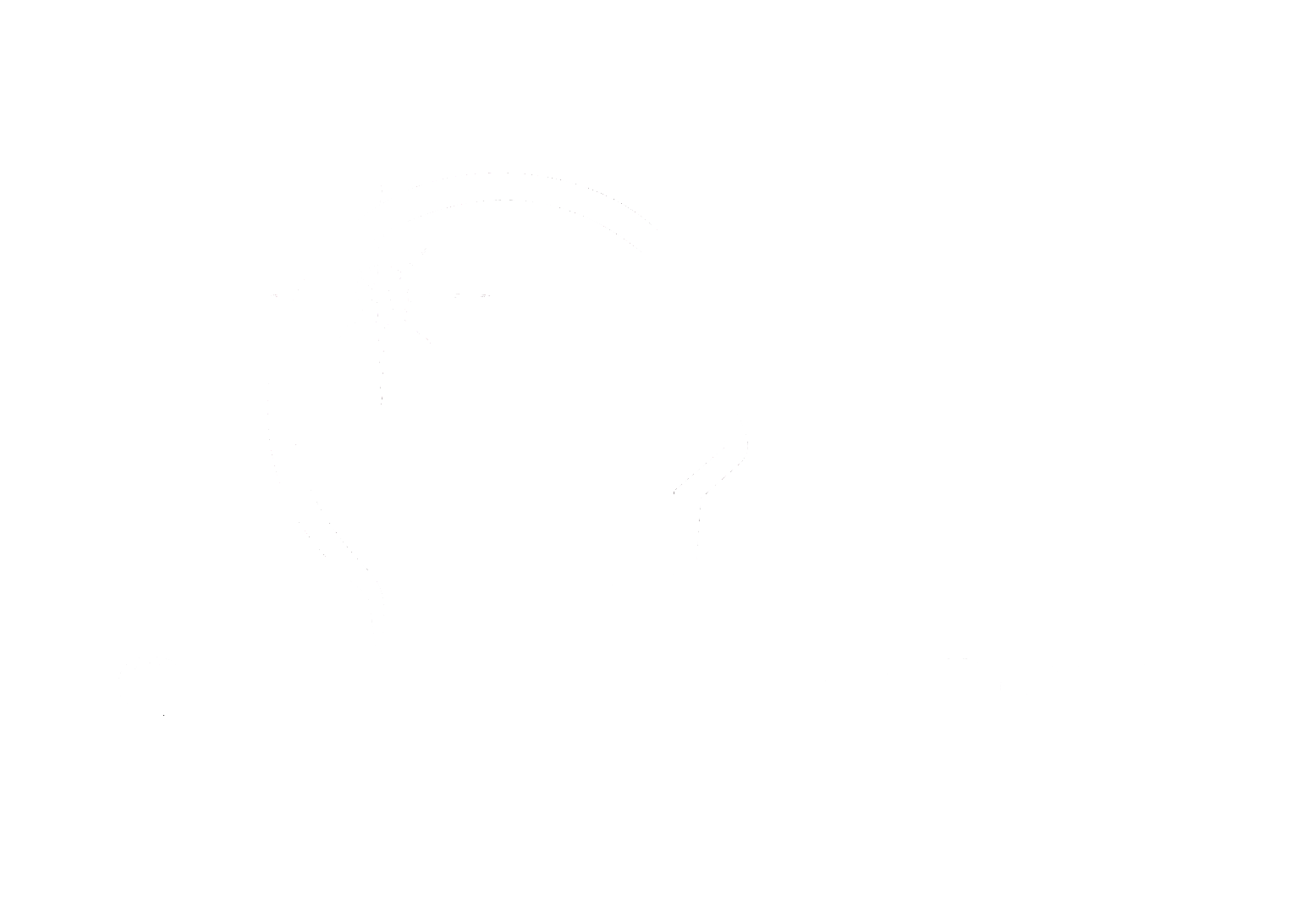 Big Scalp Tech Inc white Logo | Scalp Tech Inc.